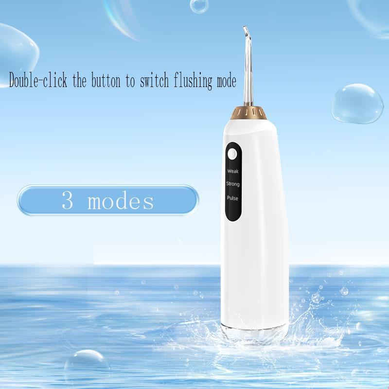 Portable Electric Toothbrush, 1 Set 300ml Electric Toothbrush with 4pcs Replacement Nozzle, Oral Irrigator for Travel, Dental Care Tool